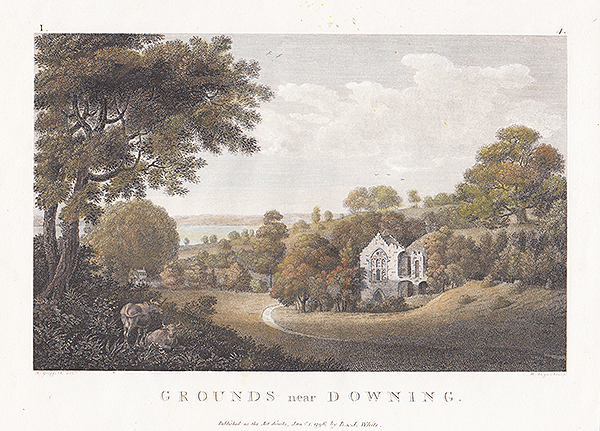 Grounds of Downing 