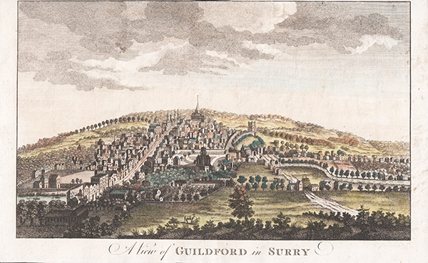 A View of Guildford in Surrey