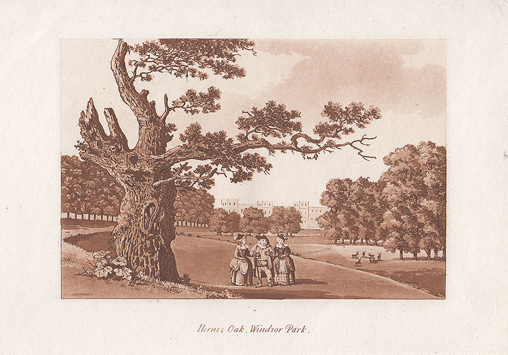 Hernes Oak Windsor Park