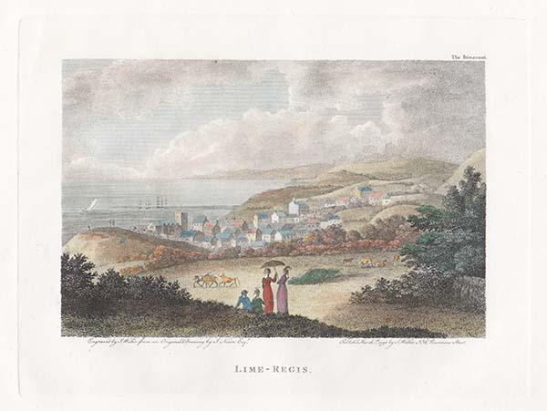 Lime Regis