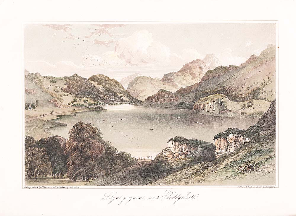 Llyn - gwynant near Beddgelert