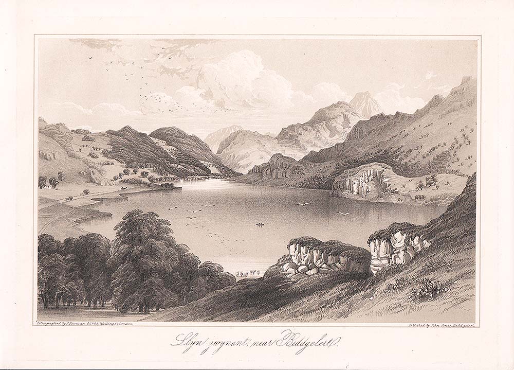 Llyn - gwynant near Beddgelert