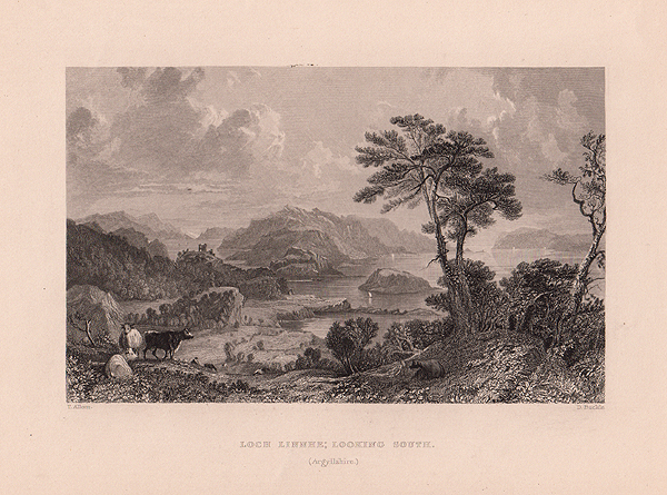 Loch Linnhe  ; Looking South  Argyllshire