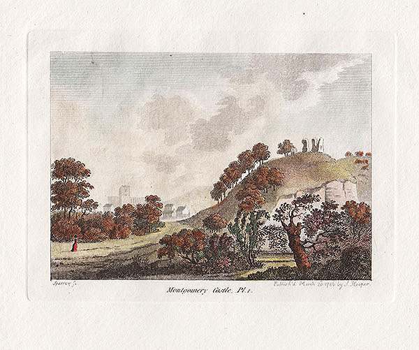 Montgomery Castle  Plate 1