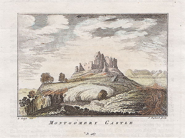 Montgomery Castle