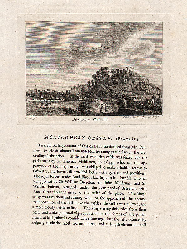 Montgomery Castle Plate II