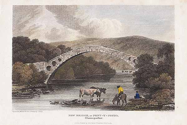 New Bridge or Pont-y-prydd Glamorganshire