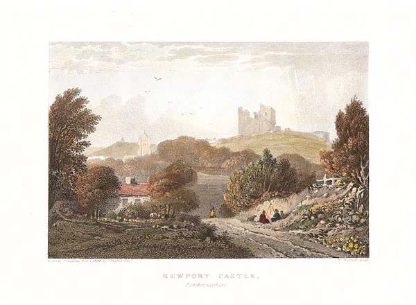 Newport Castle