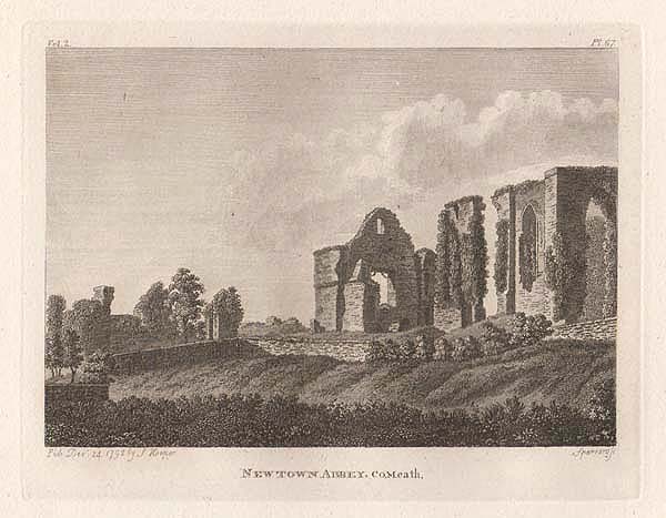 Newtown Abbey