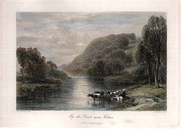 On the Dart near Totness