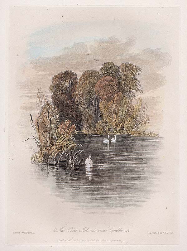 An Osier Island near Cookham