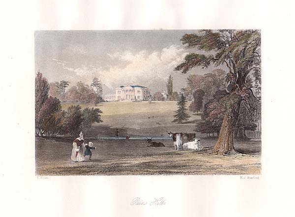 Pains Hill