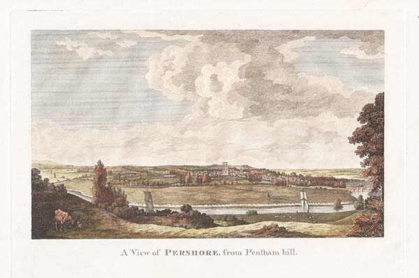 A View of Pershore from Pensham Hill