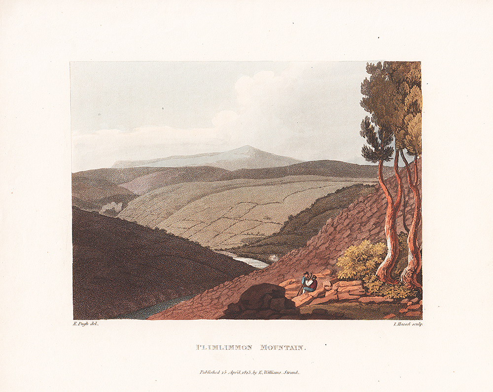Plimlimmon Mountain 