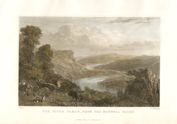 The River Tamar from the Morwell Rocks