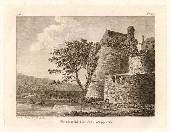 Roscrea Castle  Co Tipperary