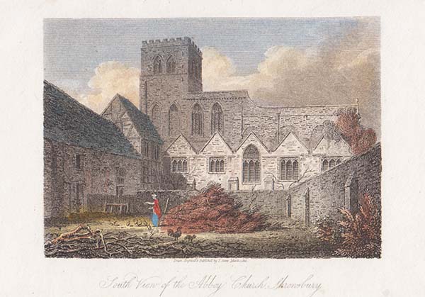 South View of the Abbey Church Shrewsbury