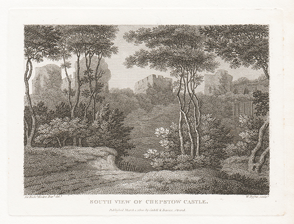 South View of Chepstow Castle