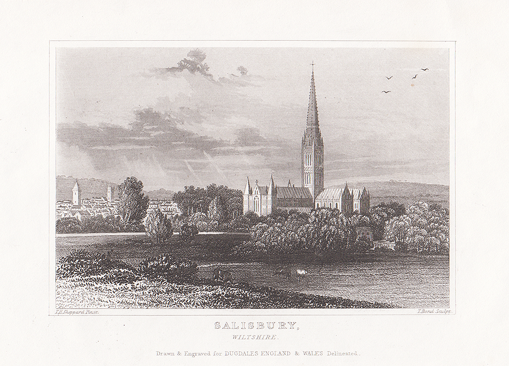 Salisbury Wiltshire.