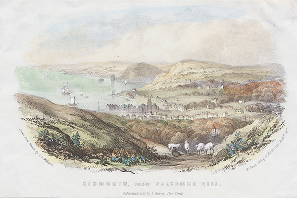 Sidmouth from Salcombe Mill 