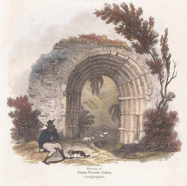 Remais of Strata Florida 