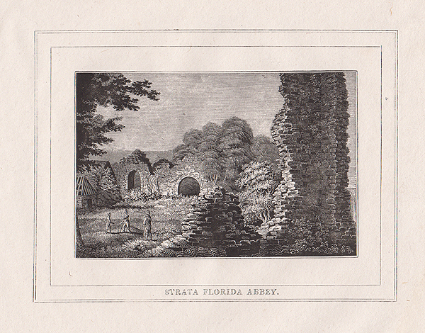 Strata Florida Abbey
