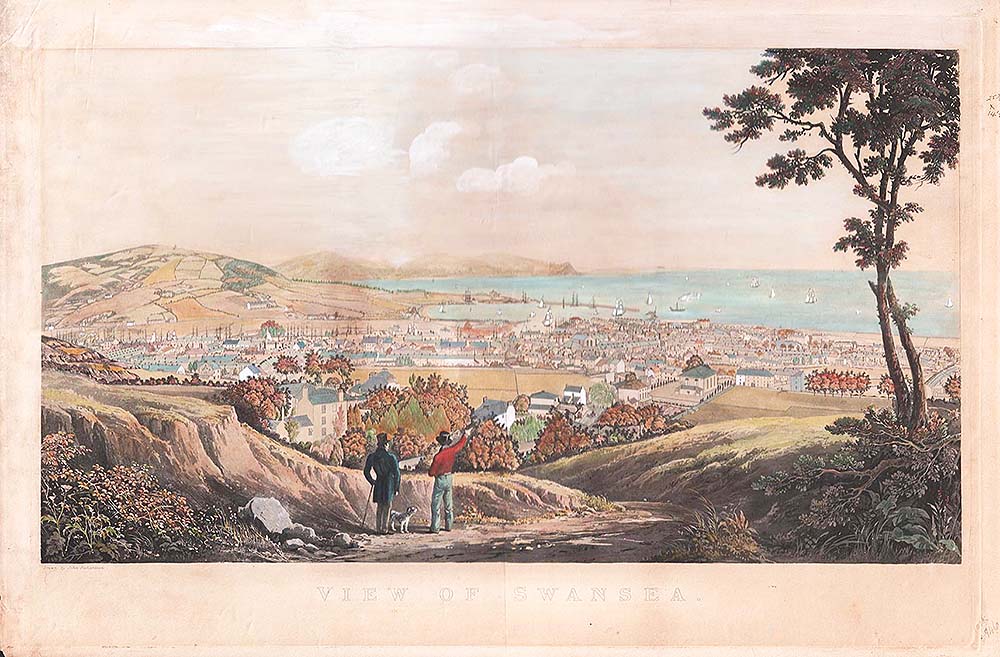 View of Swansea.