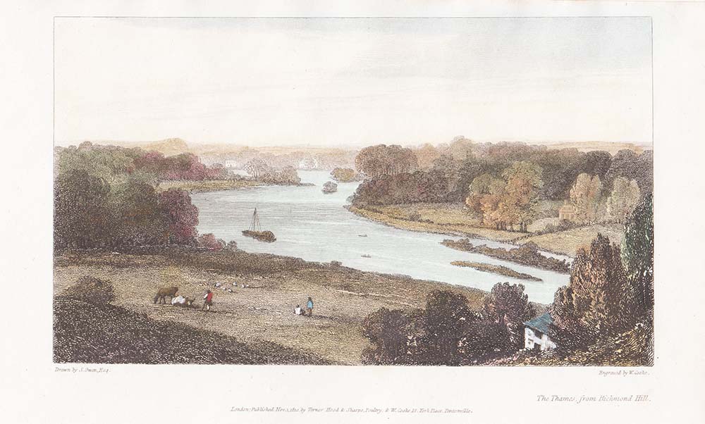 The Thames from Richmond Hill.