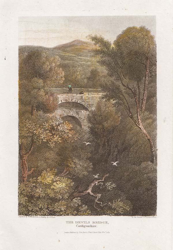 The Devils Bridge Cardiganshire