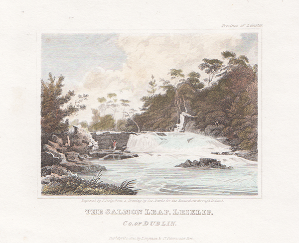 The Salmon Leap Leixlip Co of Dublin 