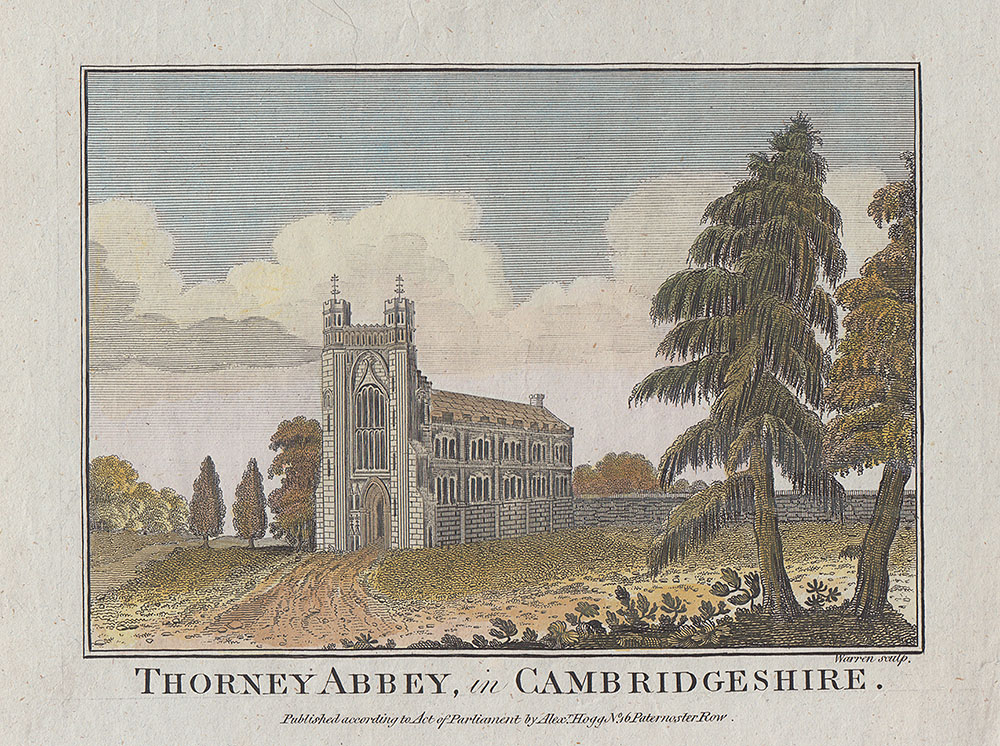 Cambridge Abbeys