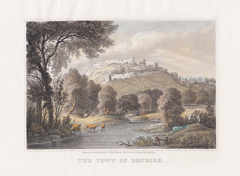 The Town of Denbigh.