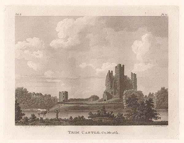 Trim Castle