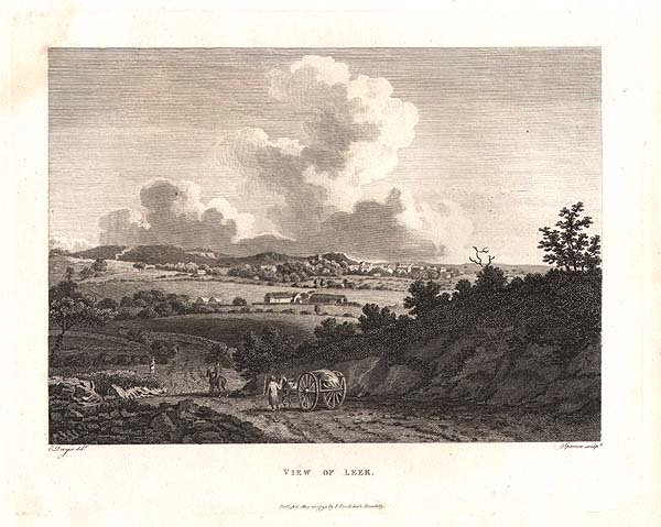 View of Leek