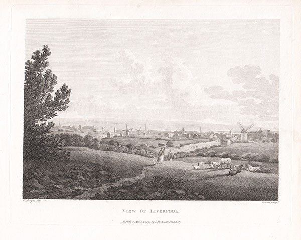 View of Liverpool 
