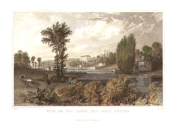 View on the River Exe near Exeter