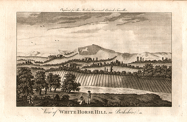 View of Whie Horse Hill in Berkshire