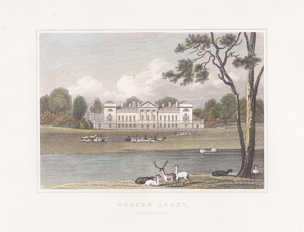 Woburn Abbey Bedfordshire