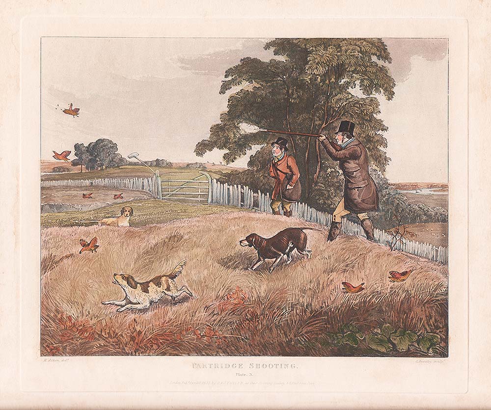 Partridge Shooting  Plate 3