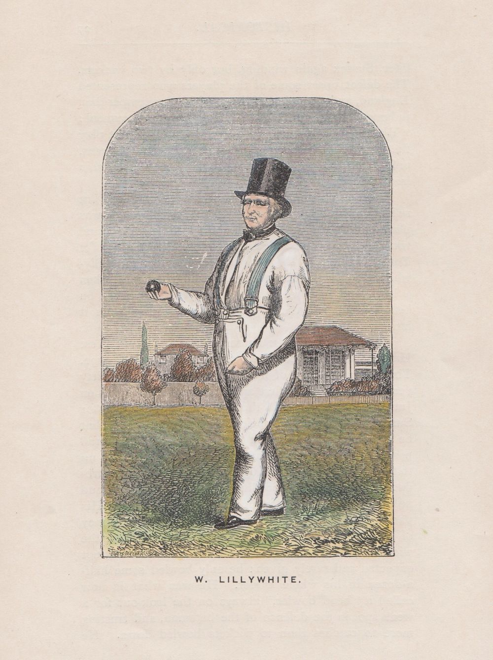 W. Lillywhite.