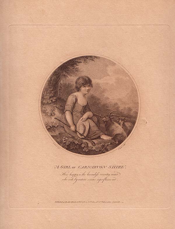A Boy of Glamorgan Shire and A Girl of Carnarvon Shire